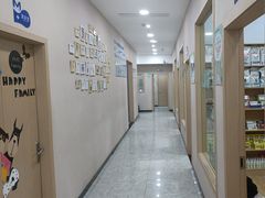 -瑞派名望24h动物医院异宠专科·猫专科·骨科·重症监护分院