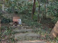 -南京珍珠泉风景区