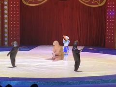 -珠海横琴长隆《卡卡虎奇遇记》