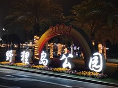 -野狸岛