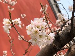 -大觉寺-停车场