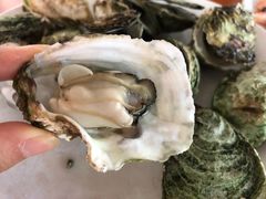 干蒸原味生蚝-南蚝小贝海鲜特色餐厅(南澳岛店)