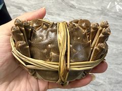 -品鲜村农家菜·阳澄湖大闸蟹(总店)