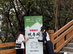 -大屏嶂森林公园