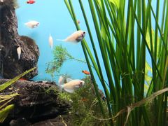 -多彩贵州城极地海洋世界