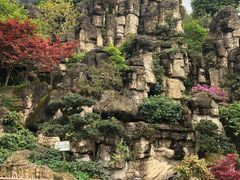 -老幺泉水鸡