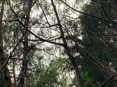 -龙洞风景区-藏龙涧