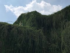 -府河摄影公园