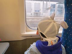 -咸宁温泉谷大酒店