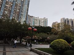 -广州珠江公园