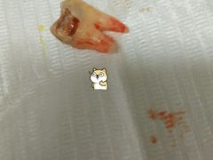 -上海市徐汇区口腔医院