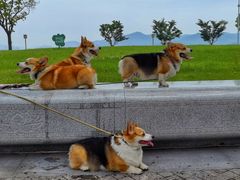 -东钱湖旅游度假区