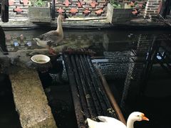-优之名鹅城
