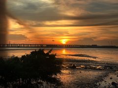 -宝安西湾红树林湿地公园