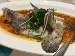 -79号渔船海鲜饭店(宝安店)