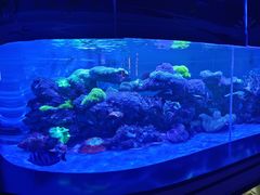 -上和臻品中国菜(花园街店)