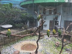 -九龙公园