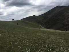 -新都桥贡嘎雪山观景台
