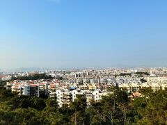 -仙岳公园
