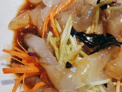阳光大拉皮-阳光家常菜(泉城路店)