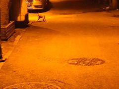 -人民广场-地下停车场