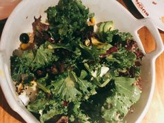 -百好乐宠物友好餐厅(朝外大街店)