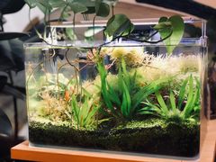 景观位-超琪星·咖啡简餐(川音店)
