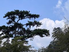 -华山风景名胜区