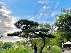 -新荣记(西溪湿地店)