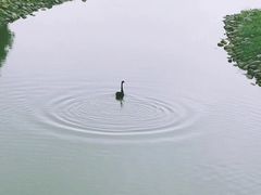 -北京麋鹿生态实验中心