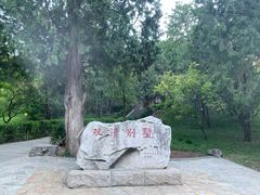-香山公园