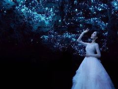 -怀托摩萤火虫洞