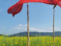 -光明小镇欢乐田园