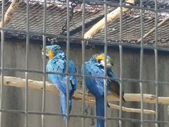 -石家庄市动物园