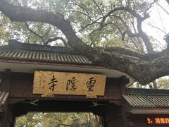-灵隐飞来峰景区