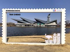 -盐城丹顶鹤湿地生态旅游区