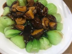 -台北楚楚园馅饼粥(虹桥南丰城店)