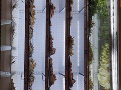 -镇江龙·火锅串串(武侯祠店)