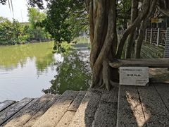 -小洲村