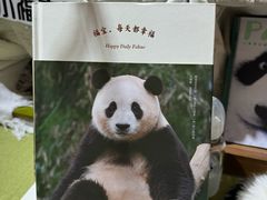 -轩客会(熊猫书店)