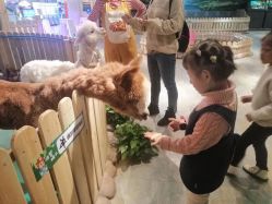 -哈尼鹿儿童乐园(兰州东瓯店)