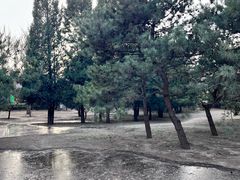 -古塔公园
