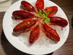 -觀芷隐轩