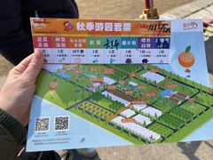 -前小桔亲子创意农场·草莓采摘·露营烧烤