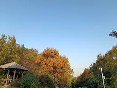 -宝界山林公园