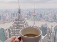 -上海柏悦酒店