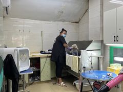 -瑞派动物医院·猫专科·至诚(江南中分院)