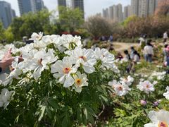 -陕西省西安植物园