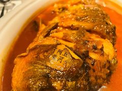 红烧黄河鲤鱼-阿五黄河大鲤鱼(英协路店)