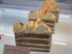 -TD66高山铁皮石斛养生茶饮